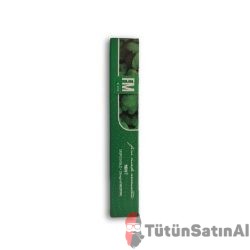 FM E-Stix Mint