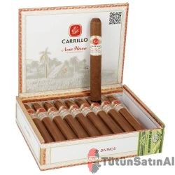 EP Carrillo New Wave Connecticut